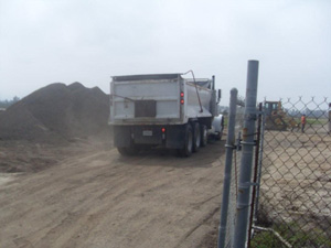 destruction of the Los Cerritos wetlands