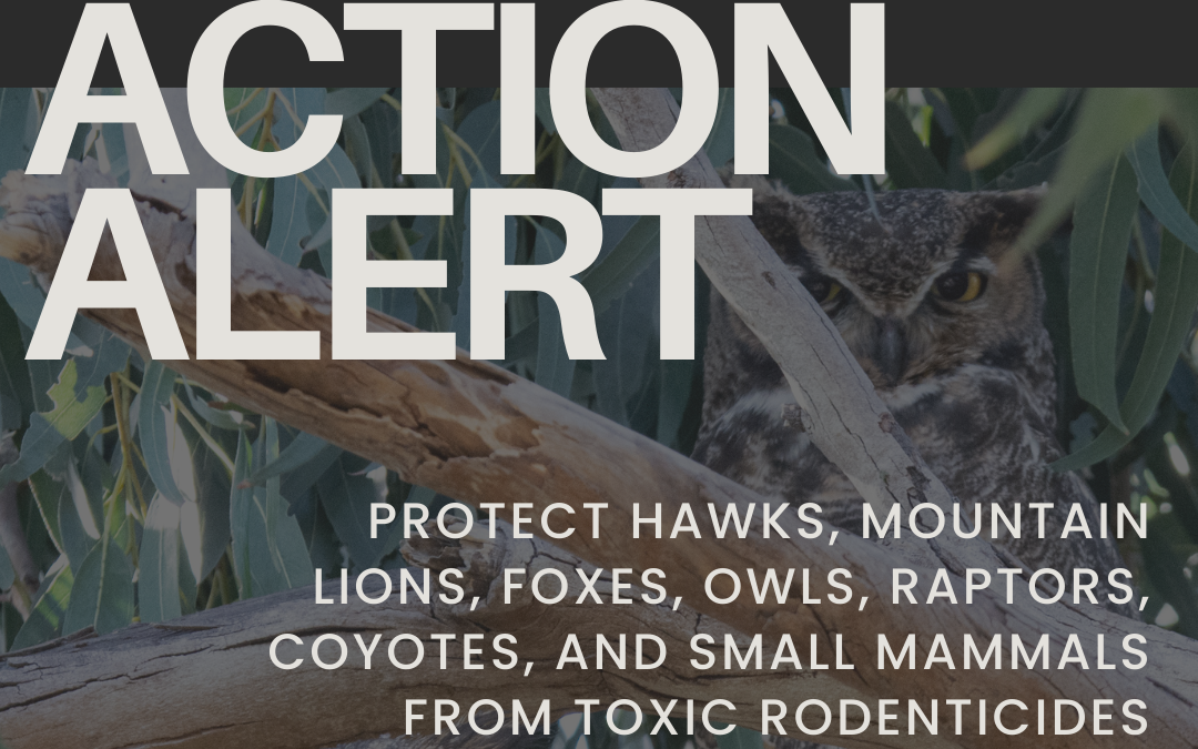 Action Alert: Support AB1322 the CA Ecosystems Protection Act
