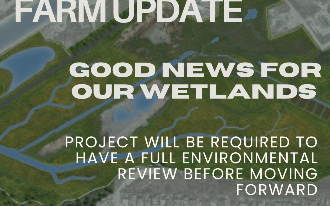 Concerning wetlands-adjacent solar project  ﻿to get a full environmental review  before moving forward