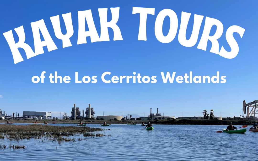 Two Spring Kayak Tours coming up!