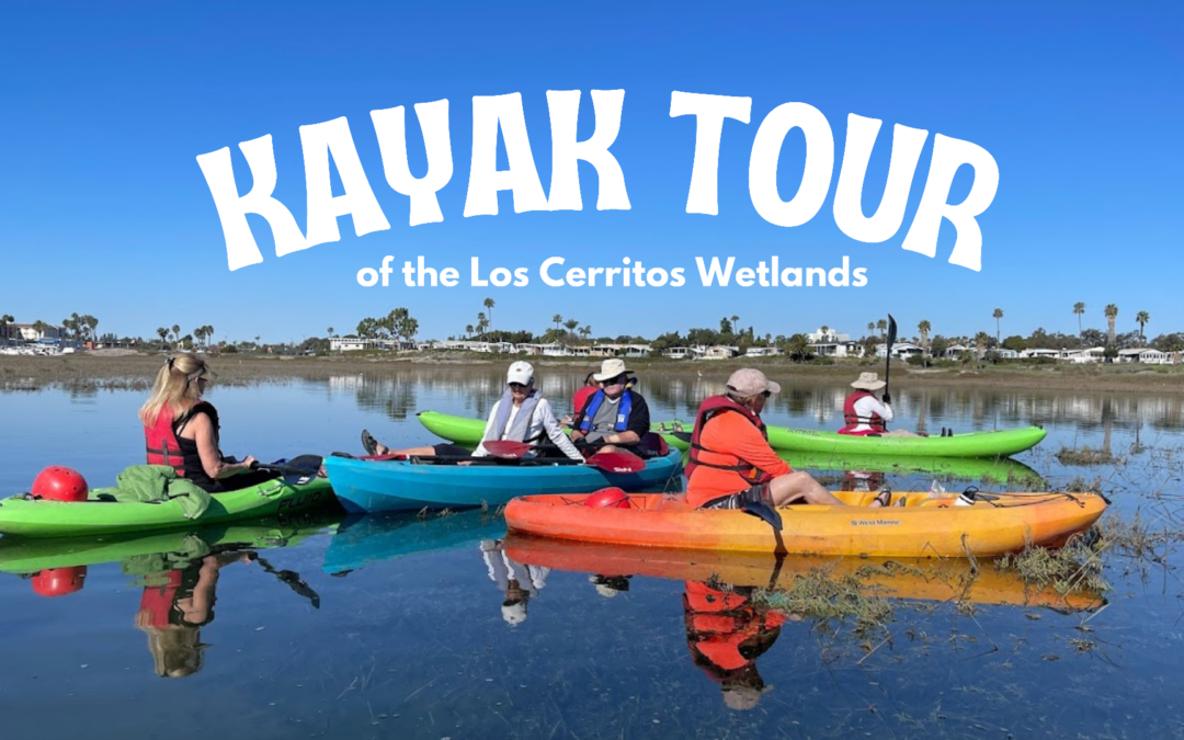 Kayak Los Cerritos Wetlands.