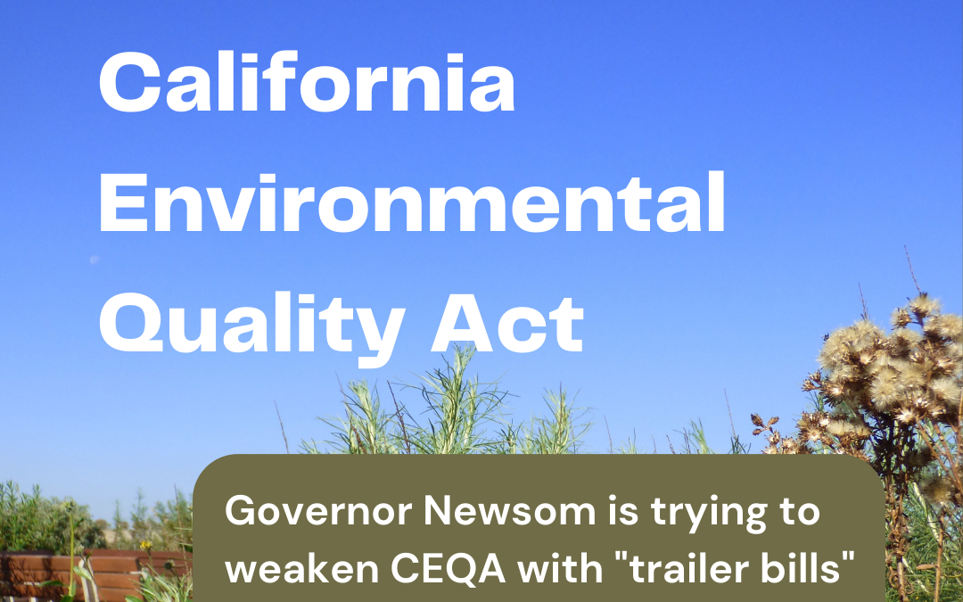 blue sky with native plants in foreground. white text reads "defend the California Environmental Quality Act, Governor Newsom is trying to weaken CEQA with trailer bills attached to other legislation""