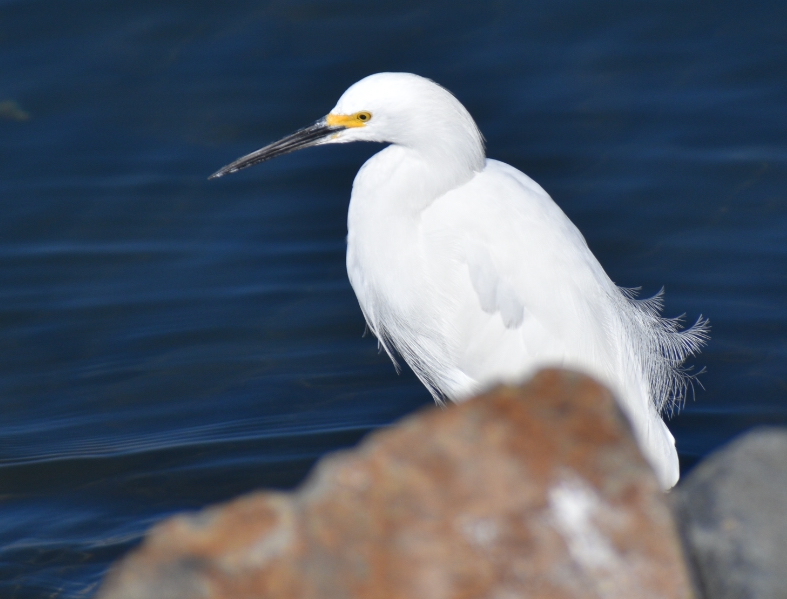 Join Us for a Nature Walk on February 4th