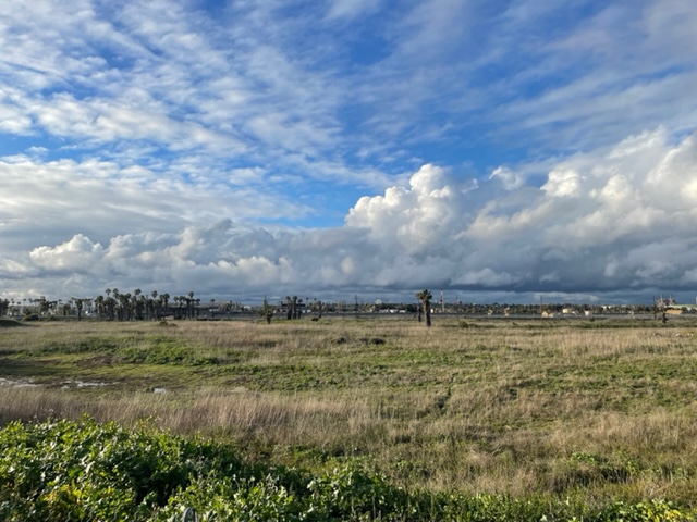 Wetlands Restoration Meeting on April 27th