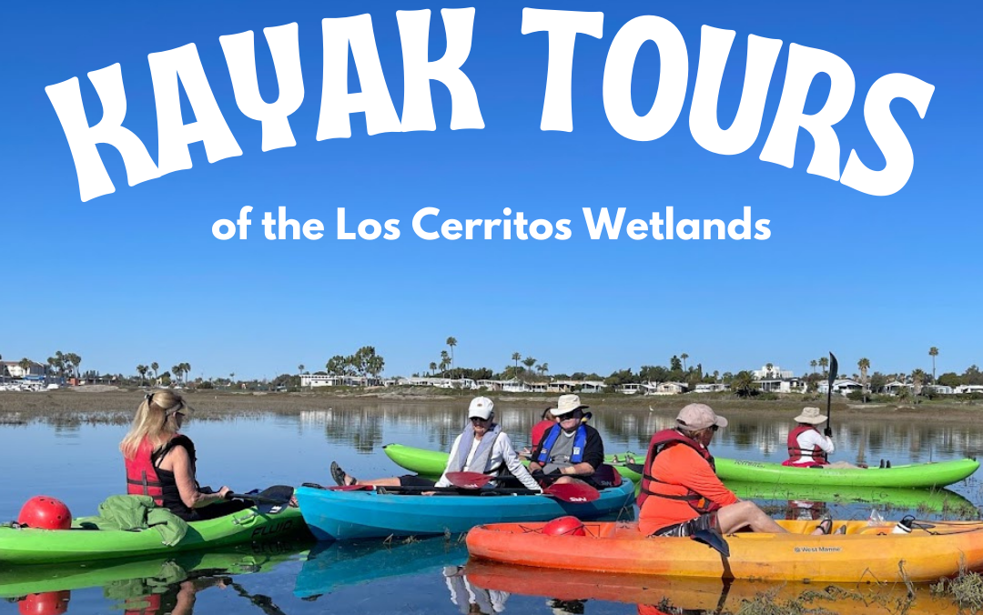Spring Kayak Tours are here!
