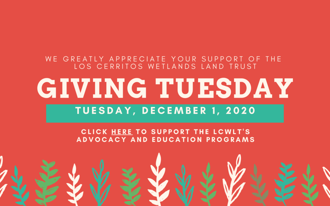 Giving Tuesday, Holiday Event with Dr. Joy Zedler and Important Meeting this Thursday