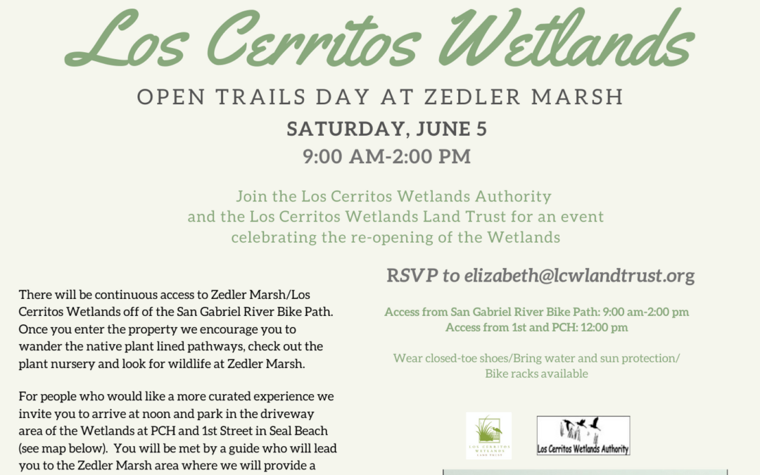 Join us out in the Wetlands this Saturday!