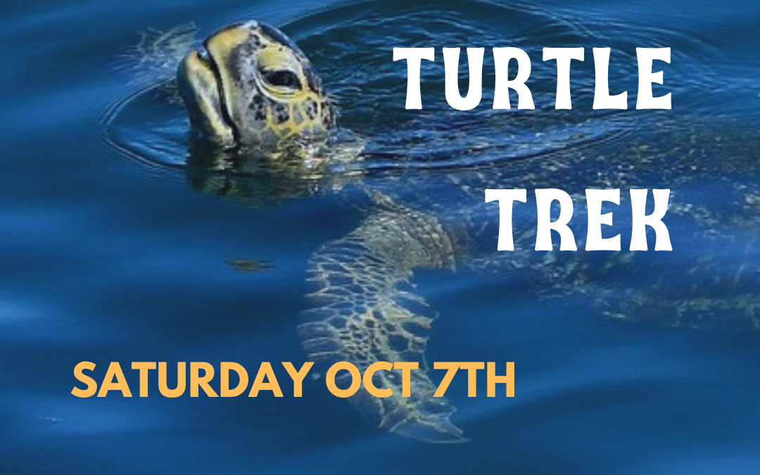 Our next nature walk will be the Turtle Trek! Hope you can join us.
