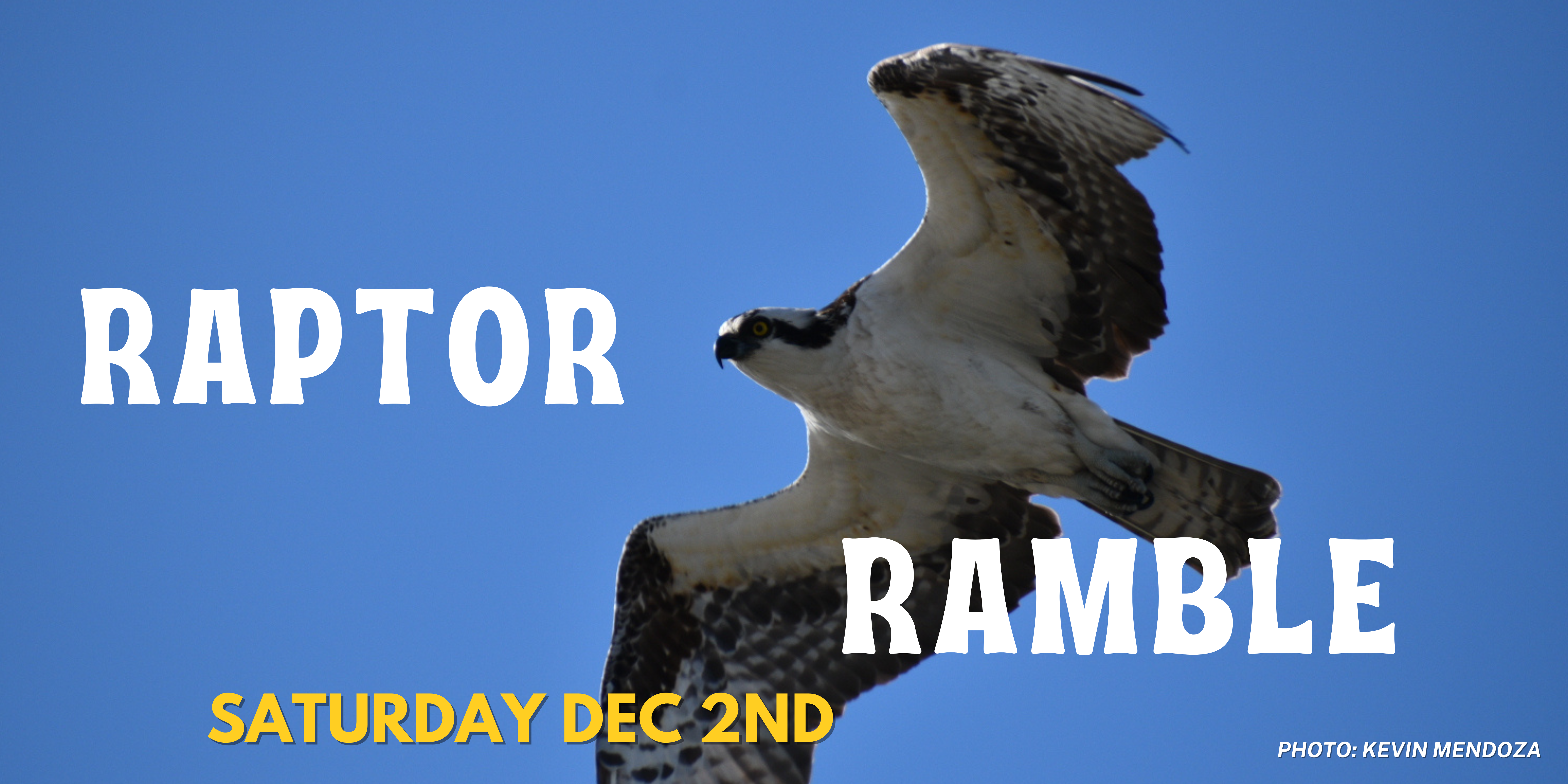 Our next nature walk will be the Raptor Ramble! Don’t forget to reserve your spot.