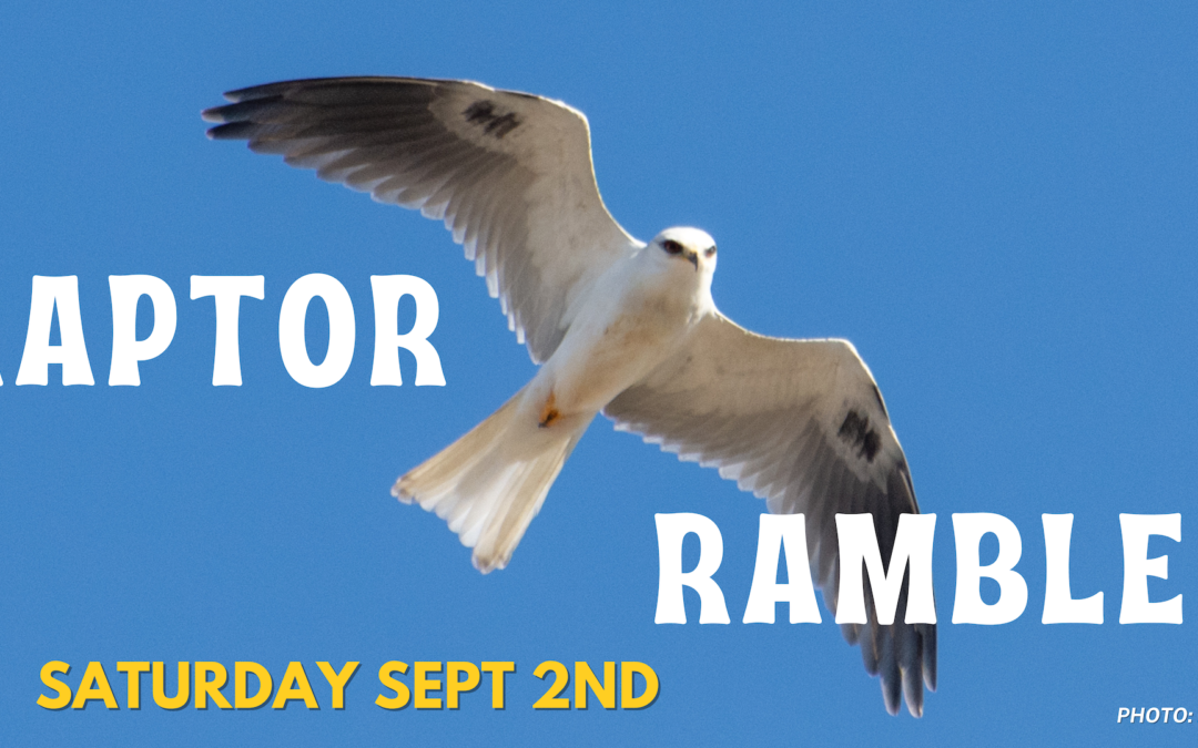 Join us this weekend for our September 2nd Raptor Ramble