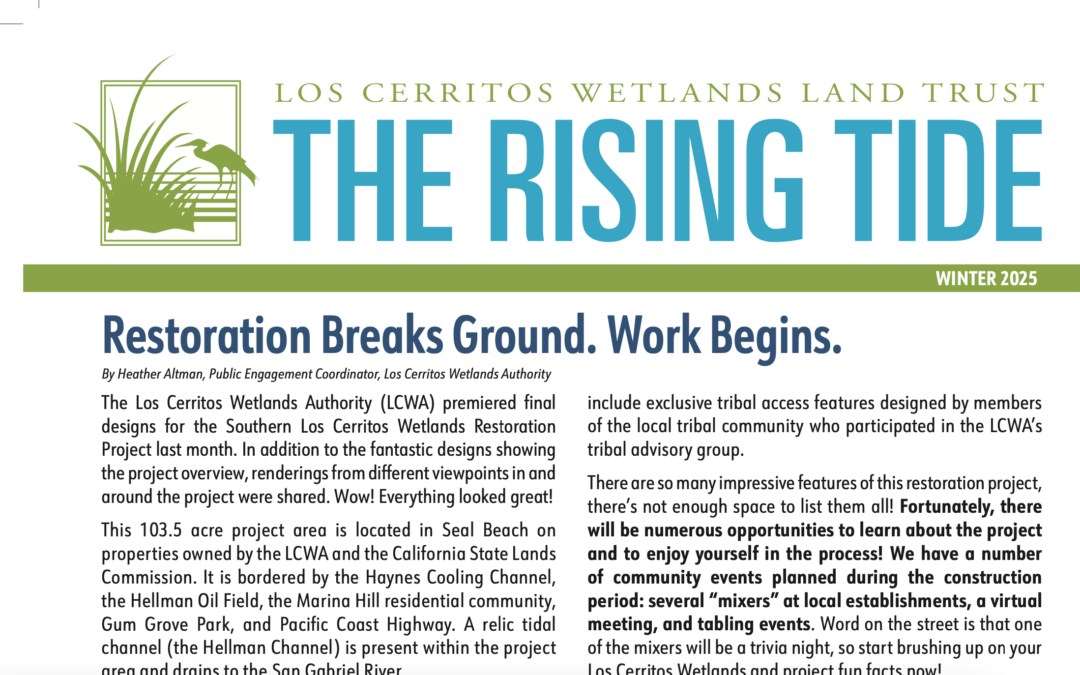 Winter 2025 Rising Tide Newsletter