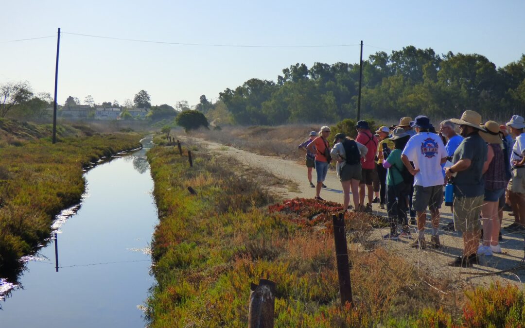 Long Beach Post feature: Los Cerritos Wetlands Land Trust works to advocate and educate