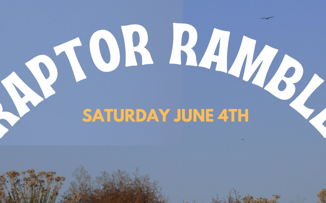 Raptor Ramble Nature Walk June 4th