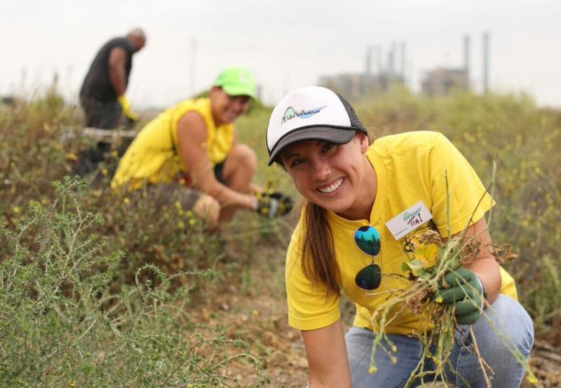 Help Restore Los Cerritos Wetlands.  Attend our upcoming Nature Walk and Community Restoration Event.