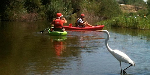 Our good friends at LA River Expeditions host fun and educational summer kayaking trips. You should try one!