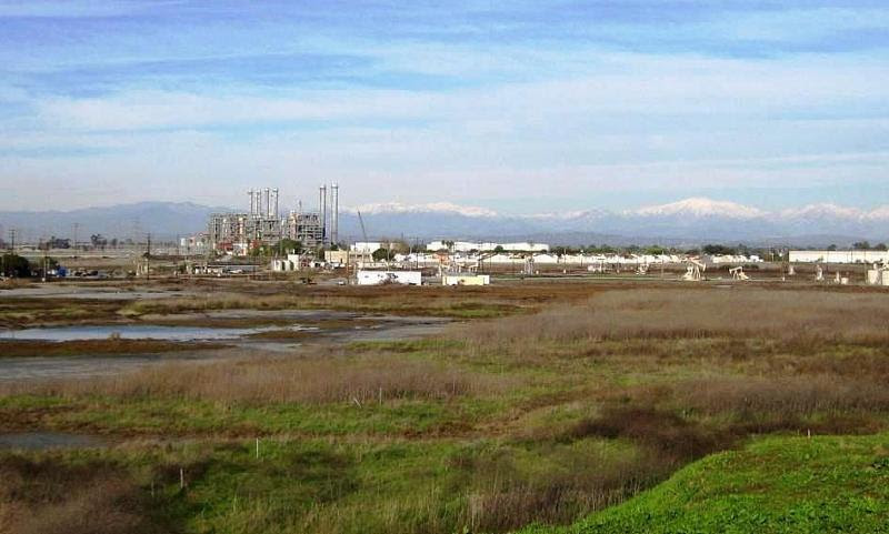 Important Los Cerritos Wetlands restoration meeting on January 25th