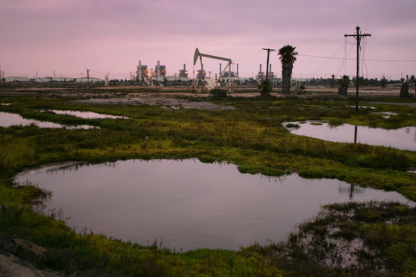 New concerning infrastructure proposed for ﻿Los Cerritos Wetlands