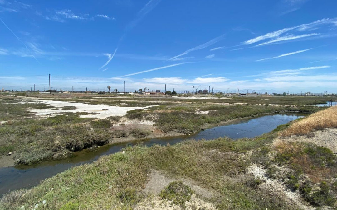 Alert: Prop 45 has been introduced by the Chamber of Commerce, which represents oil companies, developers, investor‑owned utilities, and other industrial interests. Prop 45 will weaken protections for clean air, clean water, public health, and wildlife.