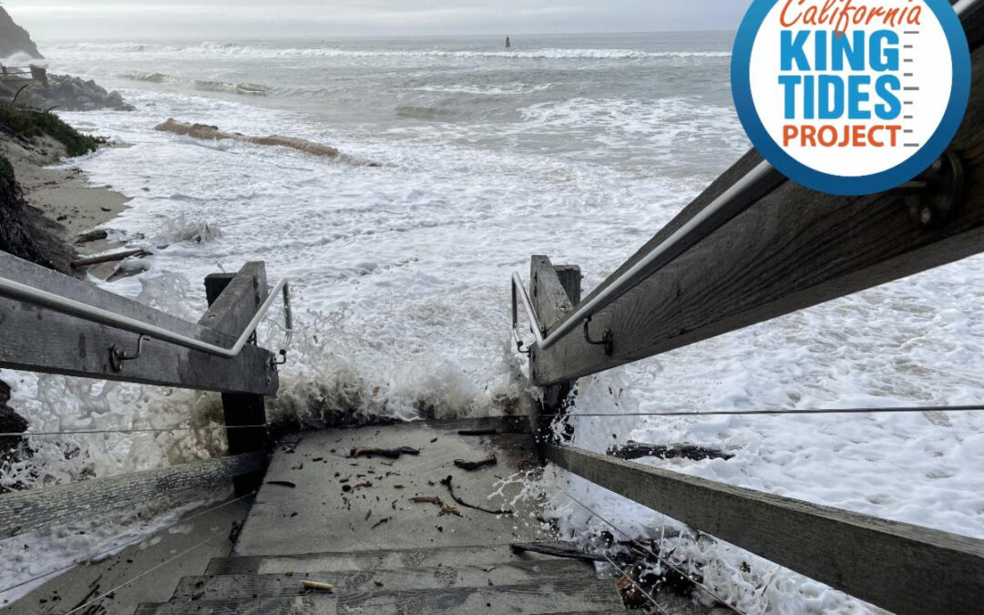 King tides are coming. Take a photo. Help protect the coast.
