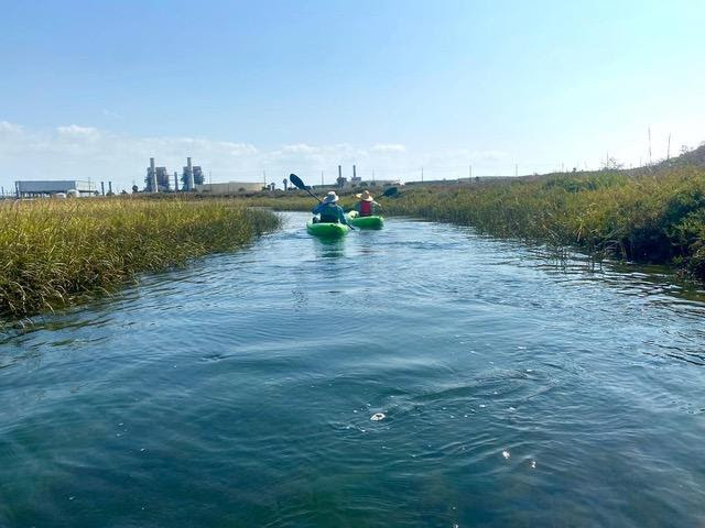 There are a few spots remaining for our Sunday wetlands kayaking trip. Join us!