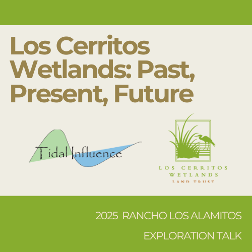 Rancho Los Alamitos presents “Los Cerritos Wetlands: Past, Present, and Future.” Please join us.