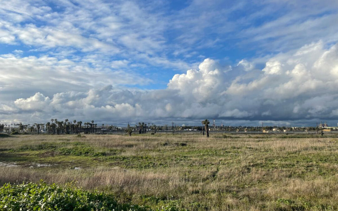 Great News for the Restoration of Los Cerritos Wetlands