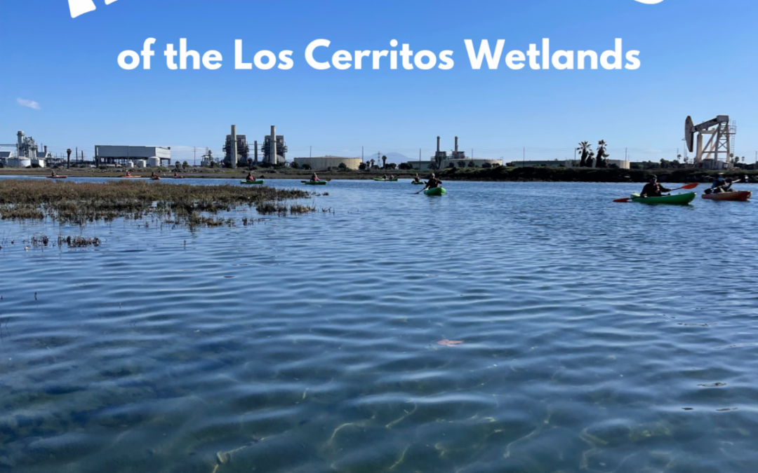 Kayak with us on March 29. Spring is a great time to visit Steamshovel Slough in the Los Cerritos Wetlands.