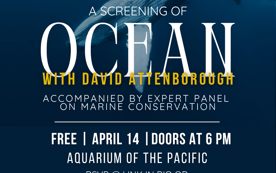 Unique opportunity to learn about and protect the ocean with our impressive partners.  ﻿Please join us!
