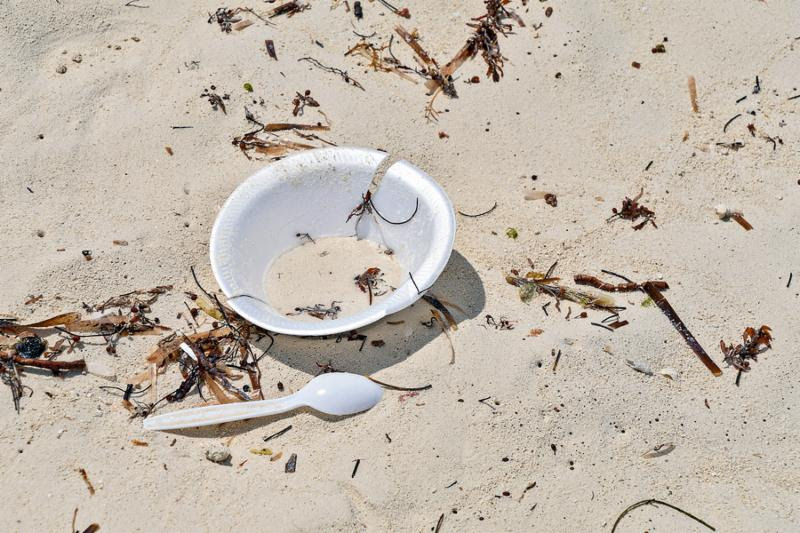 Action Alert: Join the LCWLT in reducing plastics in our wetlands and oceans