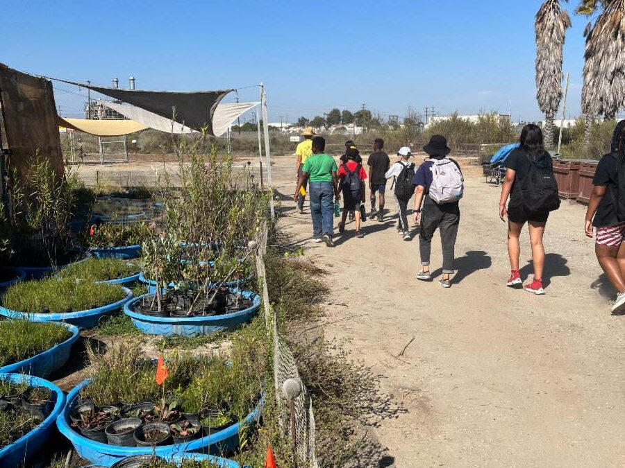 Saturday, July 6th will be our next Wetlands Nature Walk. Hope you will join us!